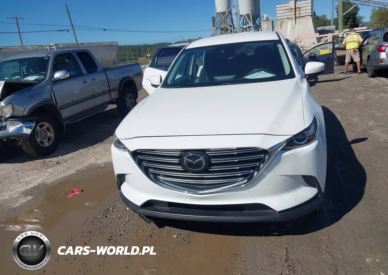 2021 Mazda Cx-9 Sport VIN:JM3TCBBY0M0525317 - 13