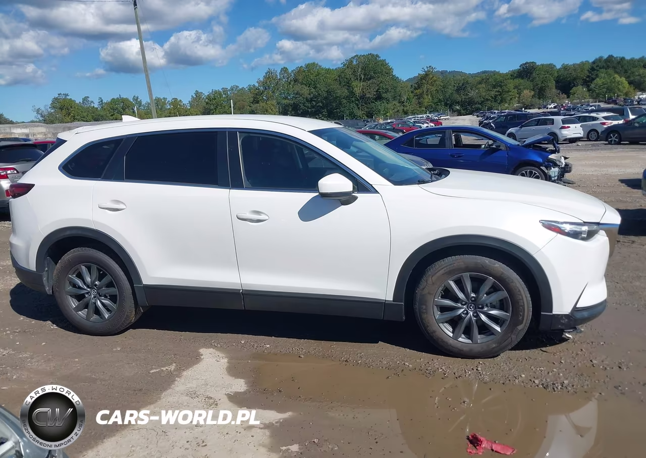 2021 Mazda Cx-9 Sport VIN:JM3TCBBY0M0525317 - 14