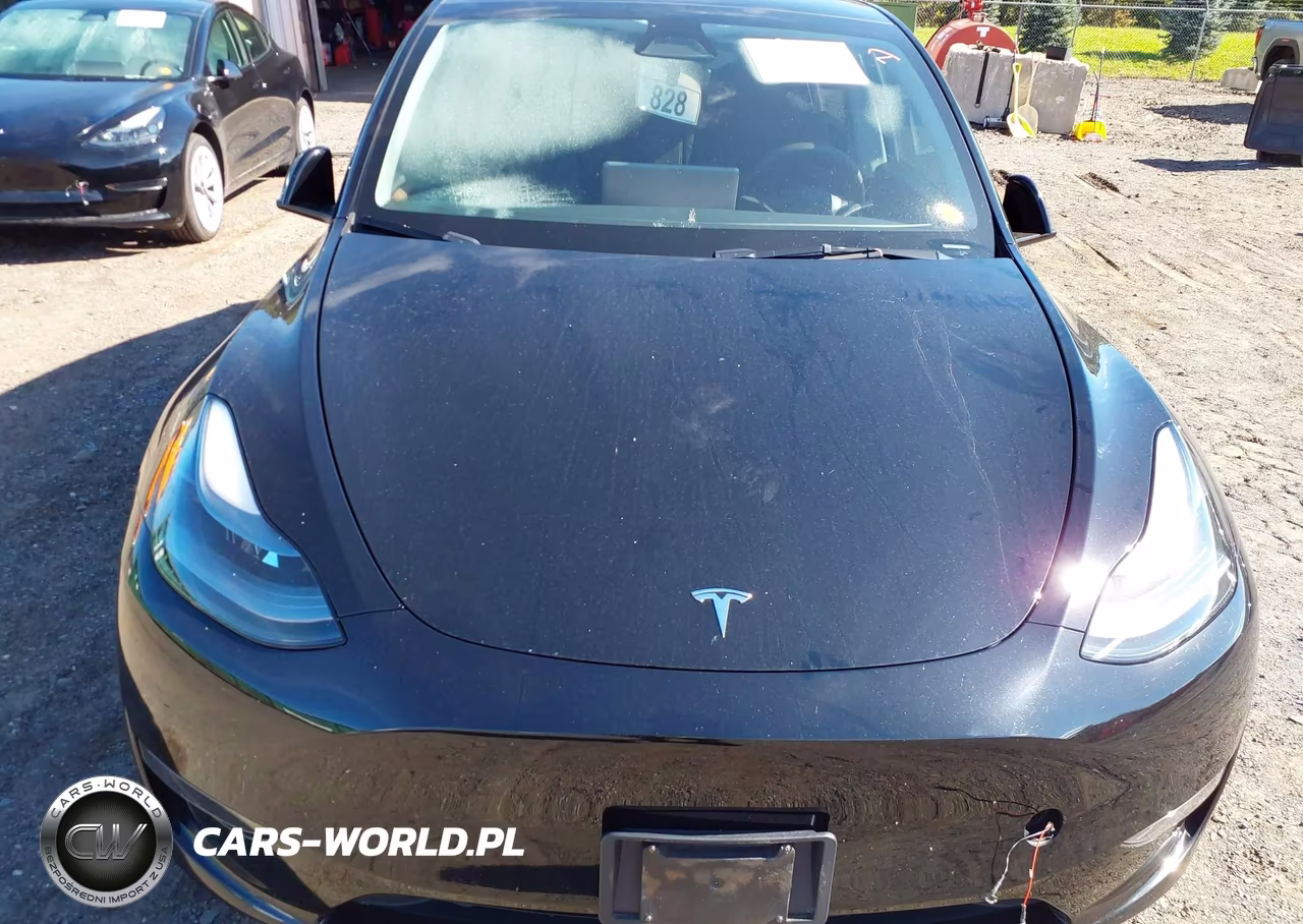 2023 Tesla Model Y Awd-Long Range Dual Motor All-Wheel Drive VIN:7SAYGDEE9PF864862 - 10