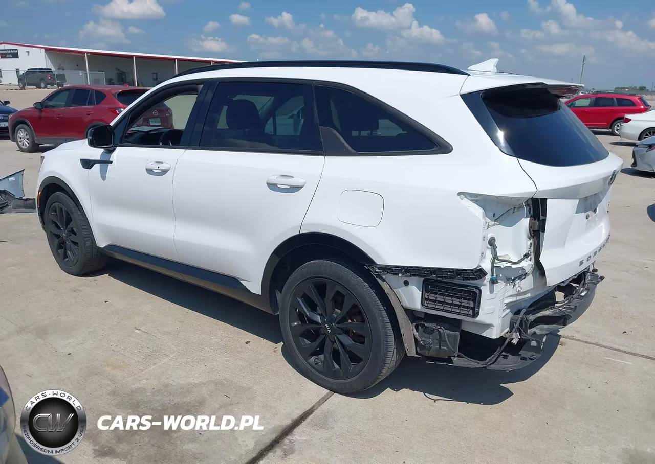 2021 Kia Sorento Sx VIN:5XYRK4LF1MG022565 - 3