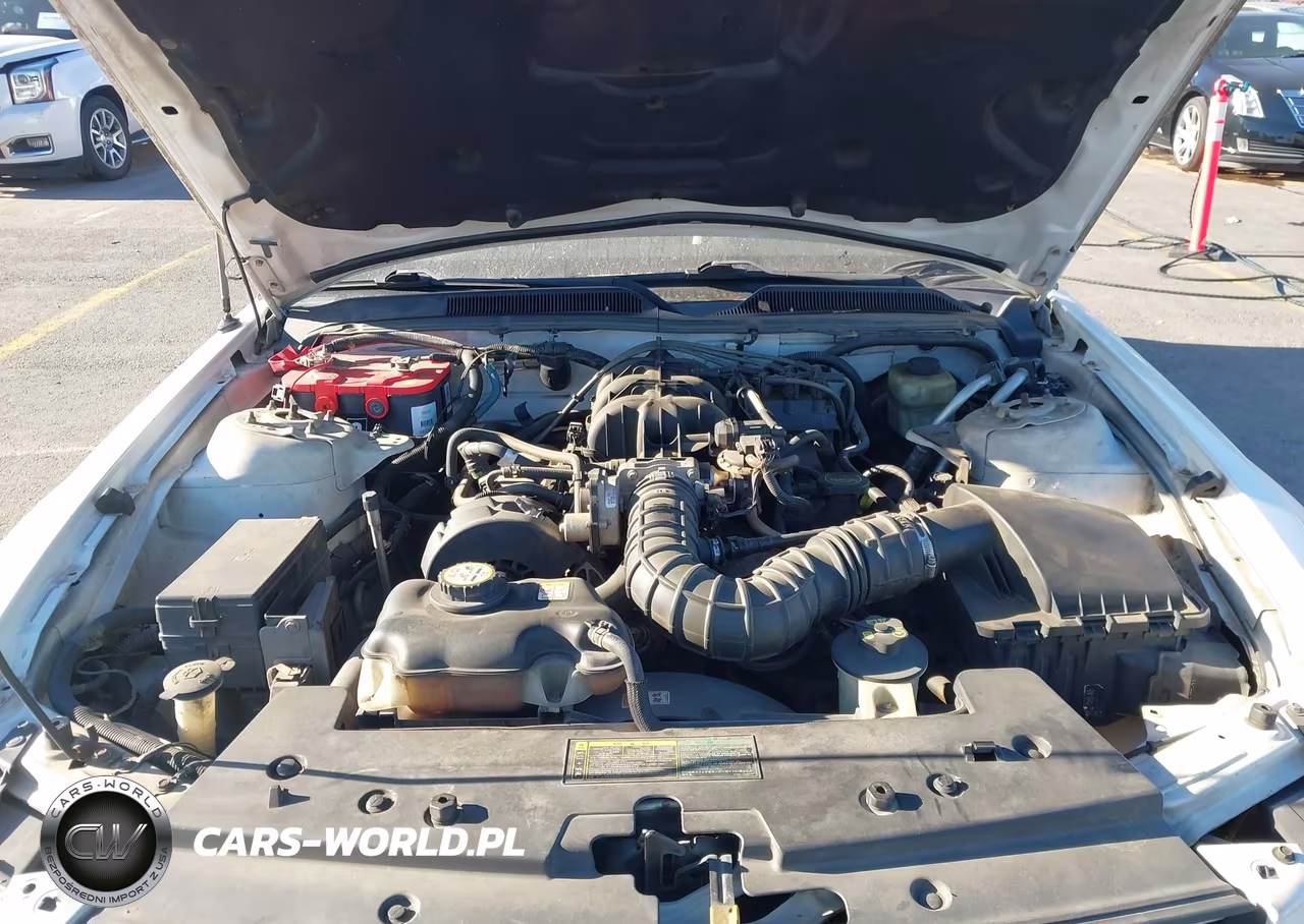 2005 Ford Mustang V6 Deluxe-V6 Premium VIN:1ZVFT80NX55244564 - 10