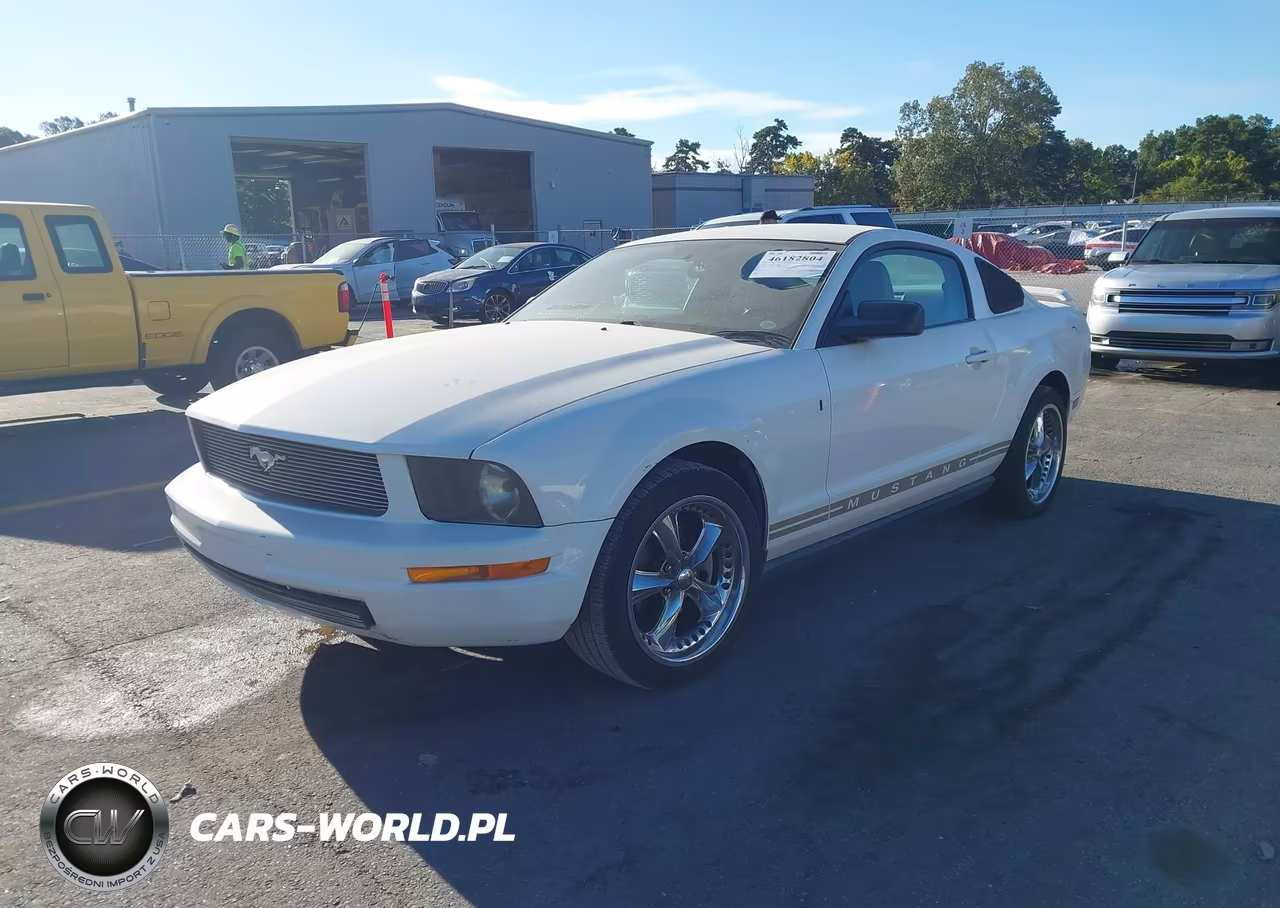 2005 Ford Mustang V6 Deluxe-V6 Premium VIN:1ZVFT80NX55244564 - 2