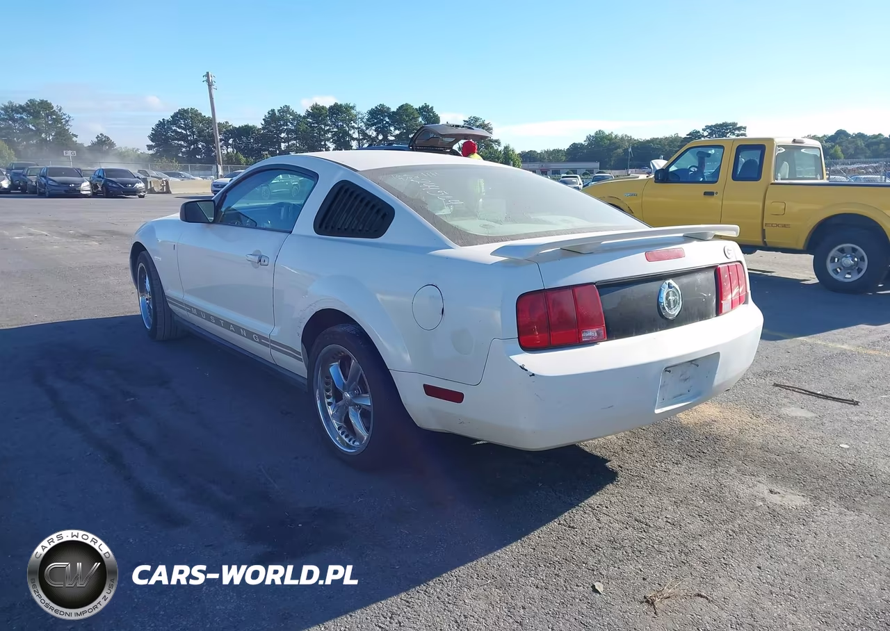 2005 Ford Mustang V6 Deluxe-V6 Premium VIN:1ZVFT80NX55244564 - 3
