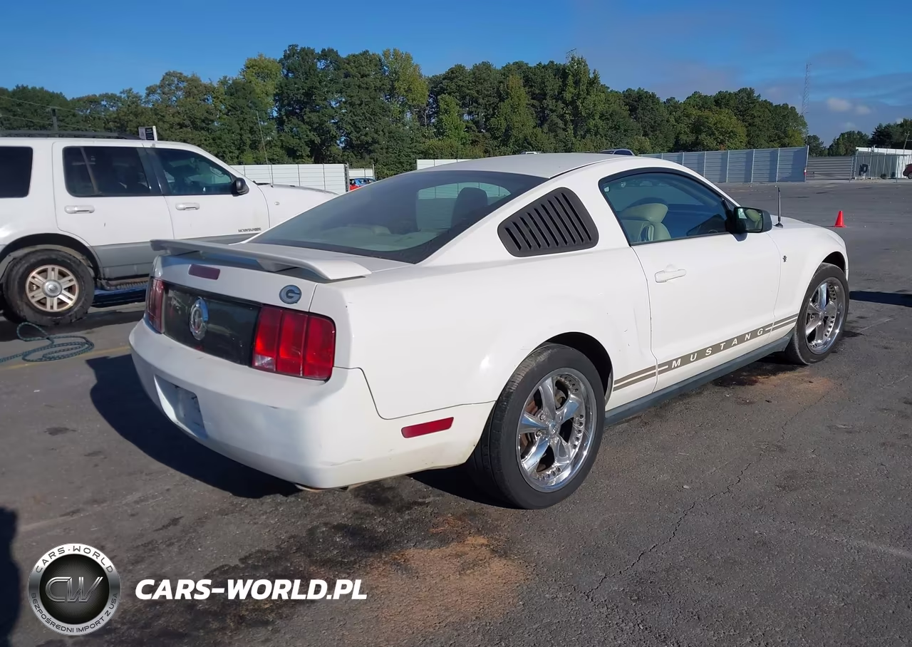 2005 Ford Mustang V6 Deluxe-V6 Premium VIN:1ZVFT80NX55244564 - 4
