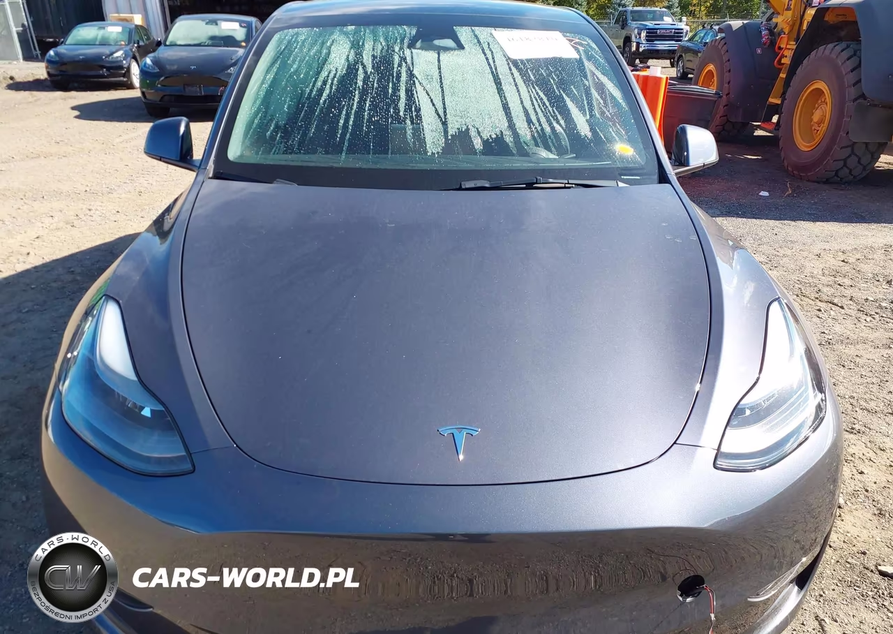 2023 Tesla Model Y Awd-Long Range Dual Motor All-Wheel Drive VIN:7SAYGDEE9PF889969 - 10