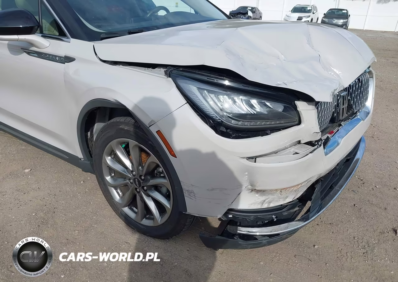 2020 Lincoln Corsair Standard VIN:5LMCJ1D98LUL29172 - 19