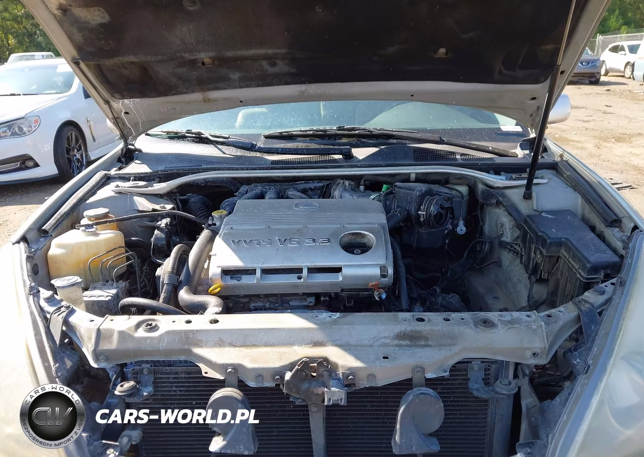 2004 Lexus Es 330 VIN:JTHBA30G545000586 - 10