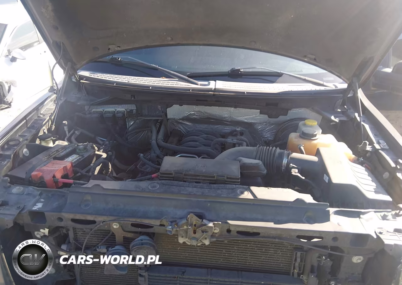 2014 Ford F-150 Fx2 VIN:1FTFW1CF6EKG57024 - 10