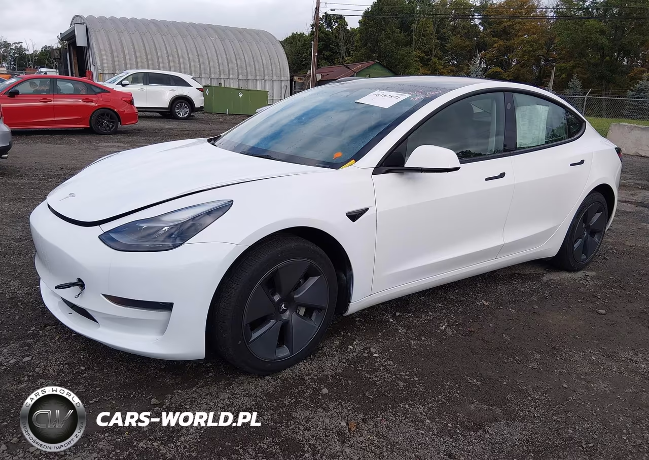 2023 Tesla Model 3 Rear-Wheel Drive VIN:5YJ3E1EA7PF504336 - 2