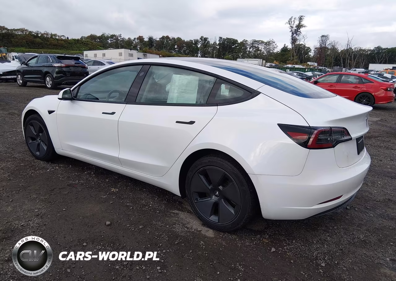 2023 Tesla Model 3 Rear-Wheel Drive VIN:5YJ3E1EA7PF504336 - 3