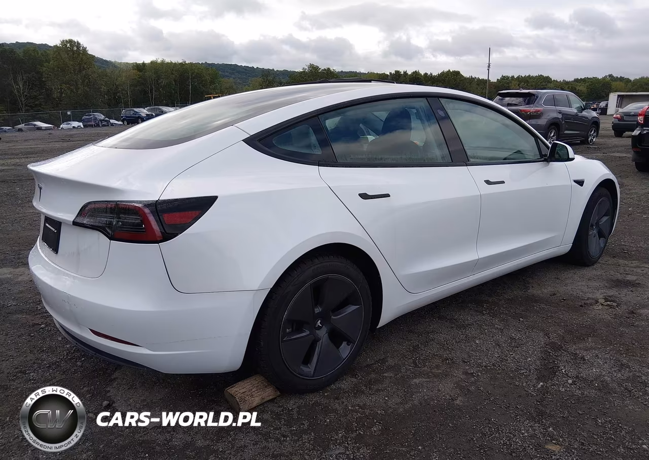 2023 Tesla Model 3 Rear-Wheel Drive VIN:5YJ3E1EA7PF504336 - 4