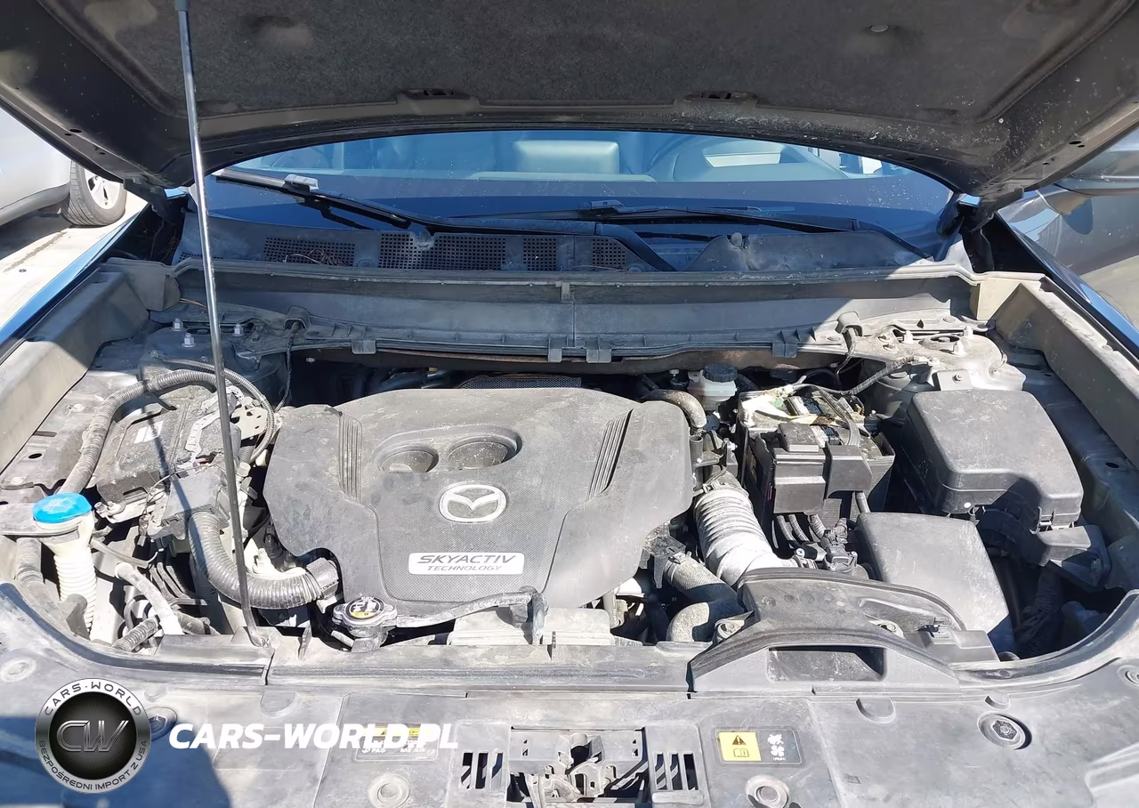 2016 Mazda Cx-9 Grand Touring VIN:JM3TCADY6G0124074 - 10