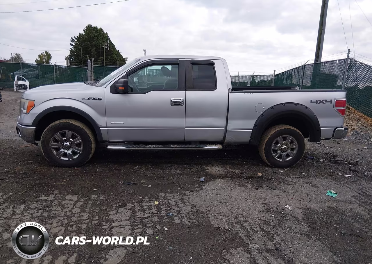 2010 Ford F-150 Fx4-Lariat-Xl-Xlt VIN:1FTFX1EV7AFA02813 - 15