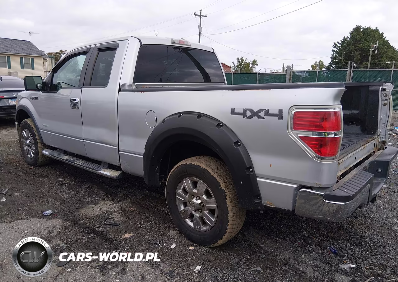 2010 Ford F-150 Fx4-Lariat-Xl-Xlt VIN:1FTFX1EV7AFA02813 - 3