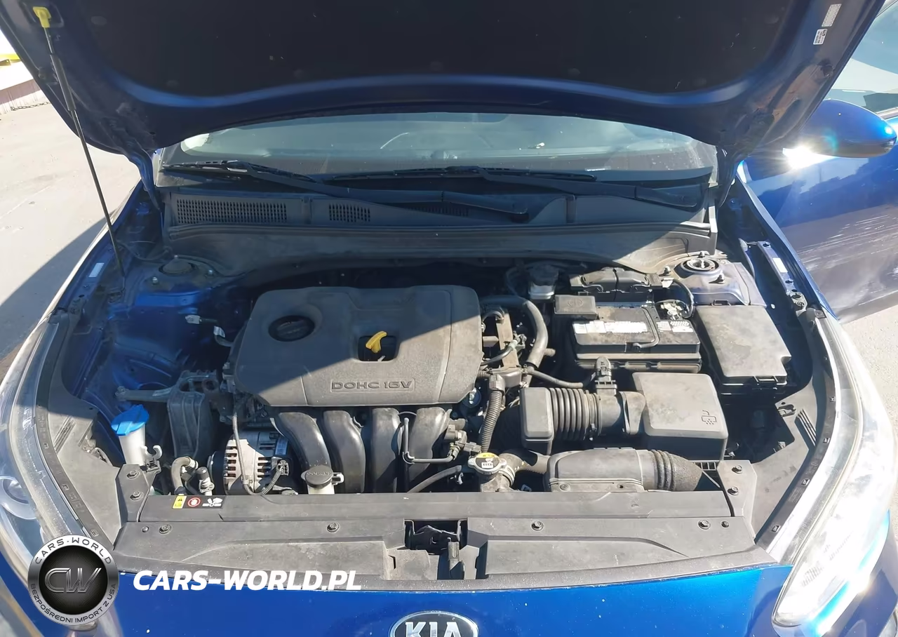 2019 Kia Forte Lxs VIN:3KPF24AD1KE095028 - 10