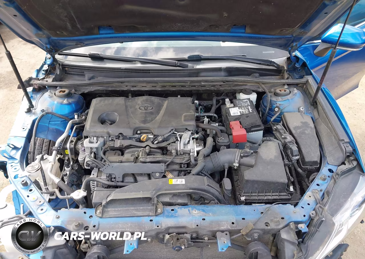 2019 Toyota Camry Se VIN:4T1B11HK1KU163782 - 10