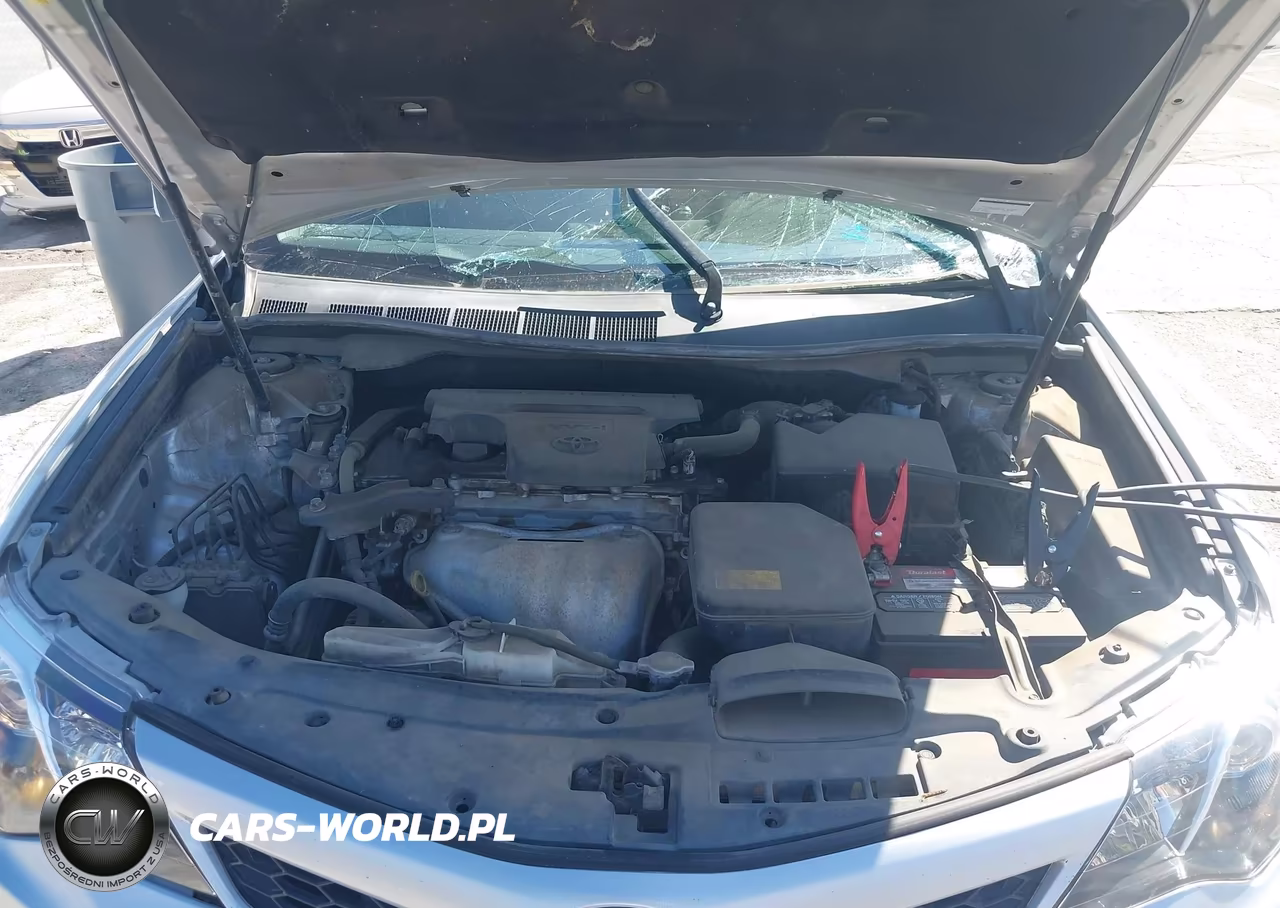 2014 Toyota Camry Se VIN:4T1BF1FK1EU366793 - 10