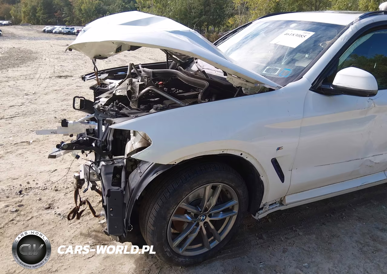 2021 BMW X3 M40I VIN:5UXTY9C03M9H93013 - 18