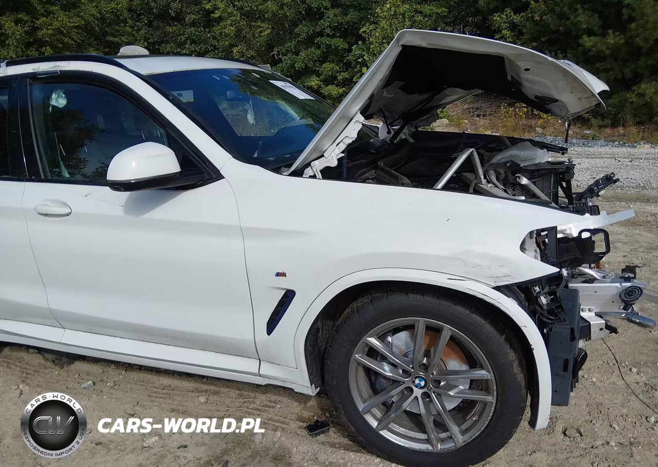 2021 BMW X3 M40I VIN:5UXTY9C03M9H93013 - 20