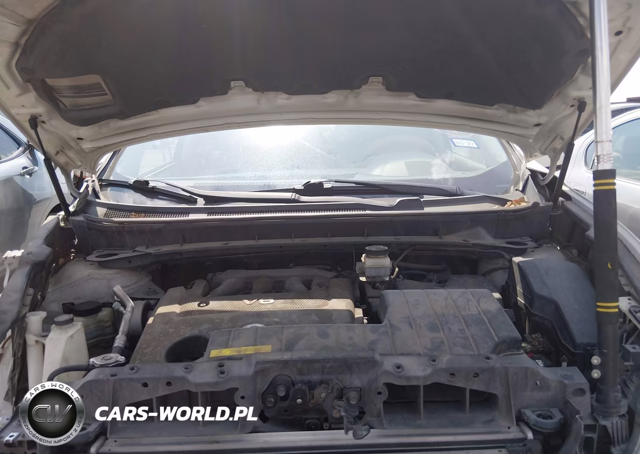2010 Nissan Murano Le VIN:JN8AZ1MU6AW003839 - 10