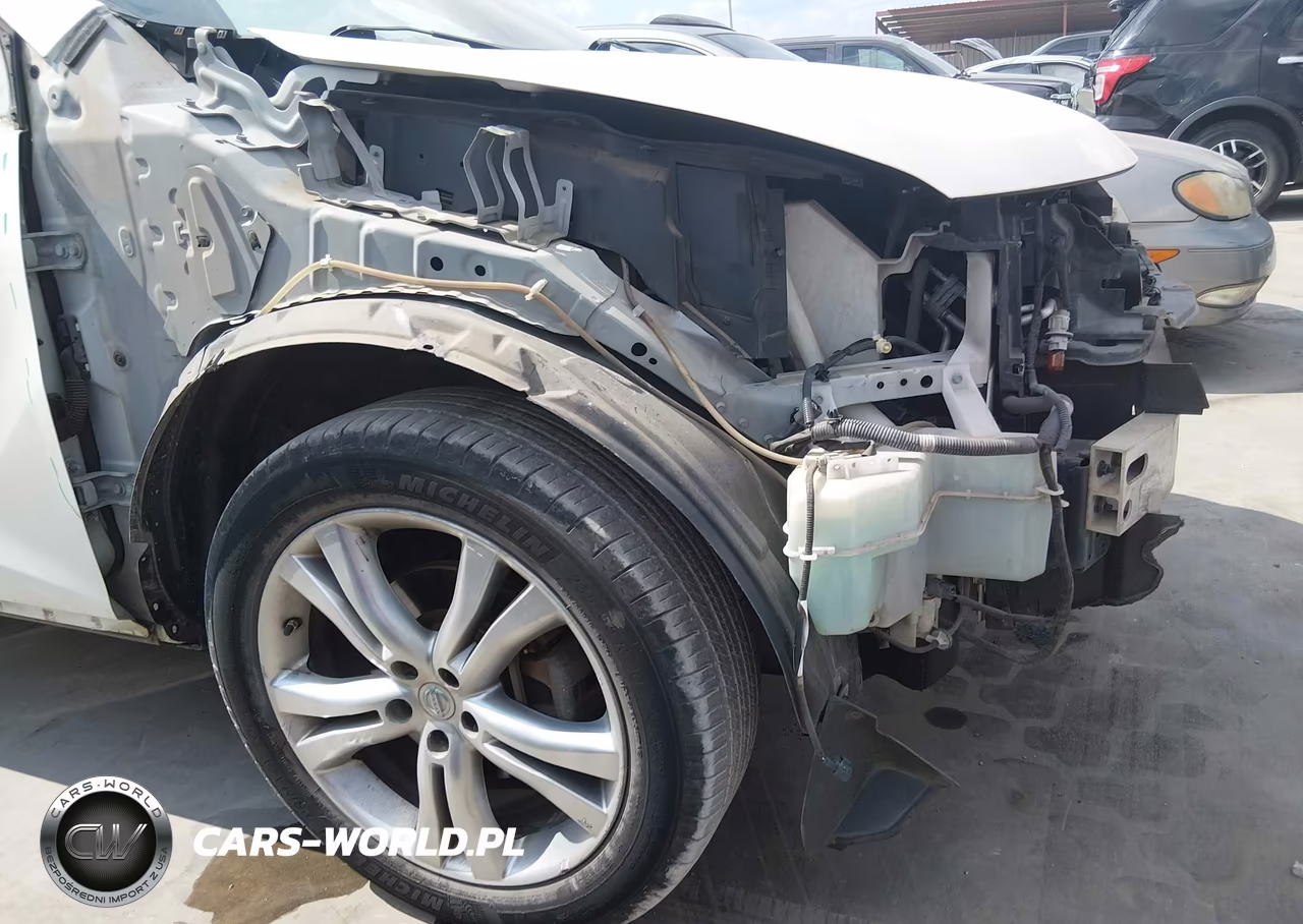 2010 Nissan Murano Le VIN:JN8AZ1MU6AW003839 - 14