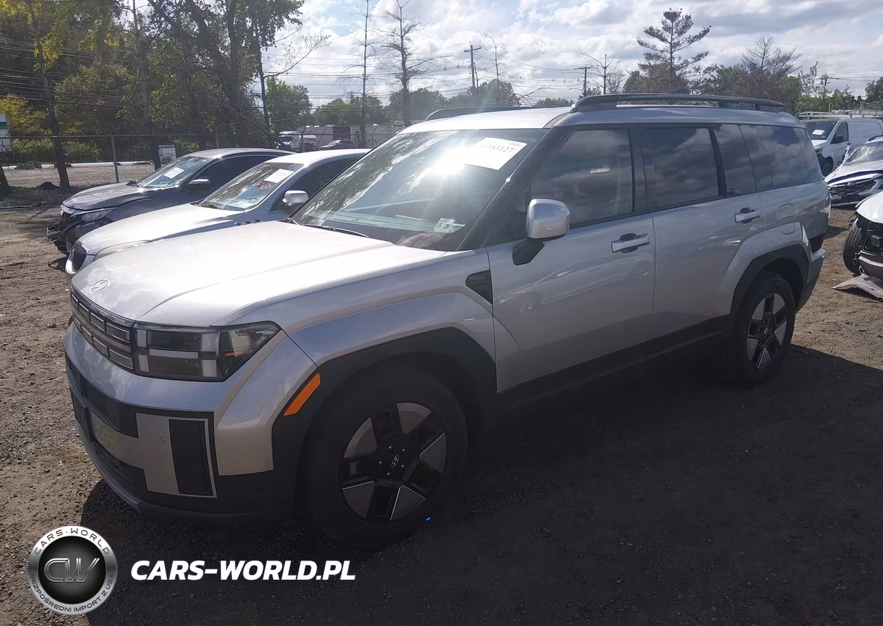 2024 Hyundai Santa Fe Hybrid Sel VIN:5NMP2DG1XRH003208 - 2