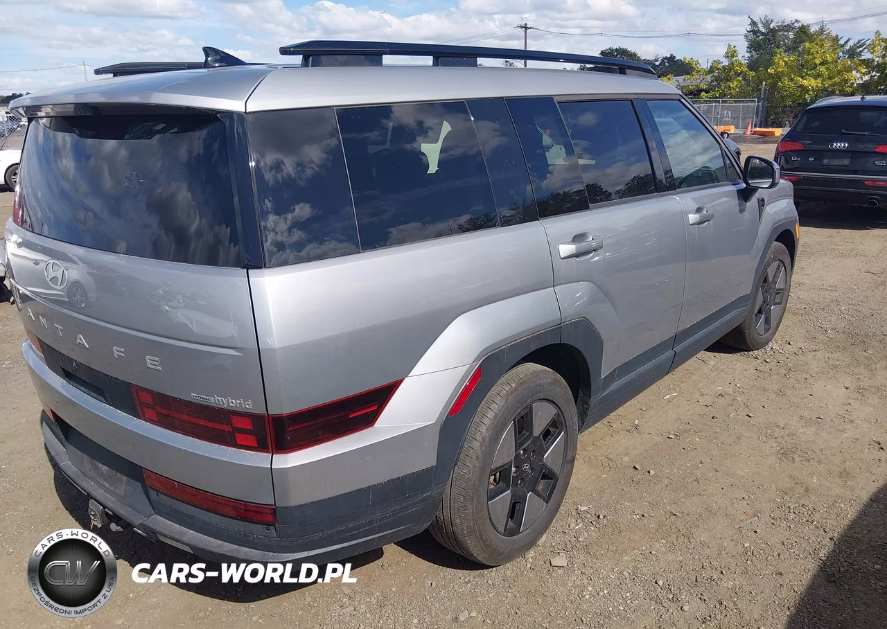 2024 Hyundai Santa Fe Hybrid Sel VIN:5NMP2DG1XRH003208 - 4