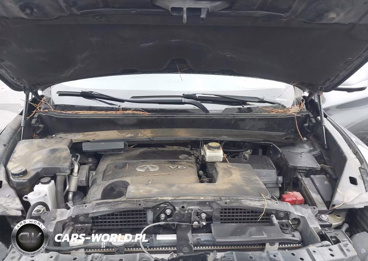 2016 Infiniti Qx60 VIN:5N1AL0MM2GC503865 - 10
