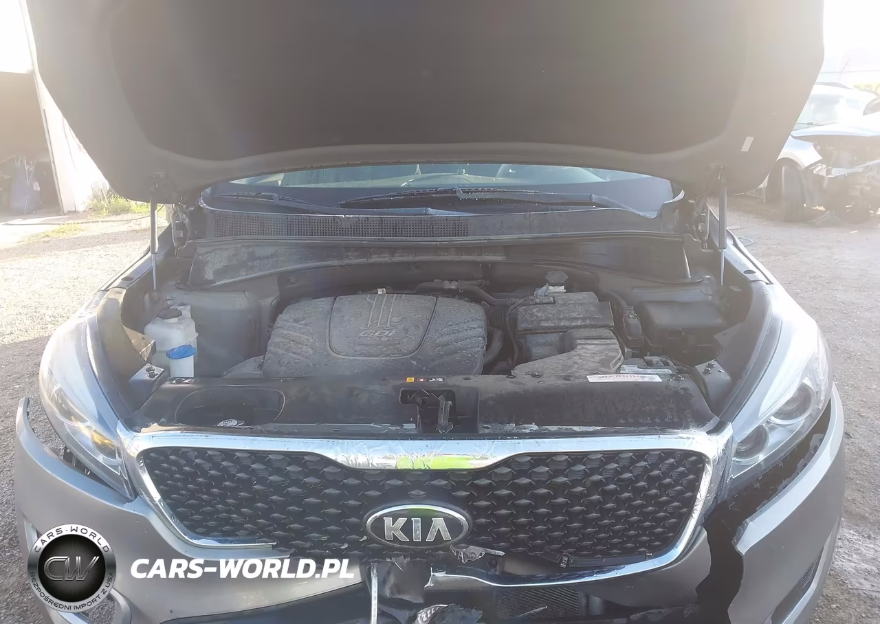 2016 Kia Sorento 3.3L Lx VIN:5XYPGDA51GG135343 - 10