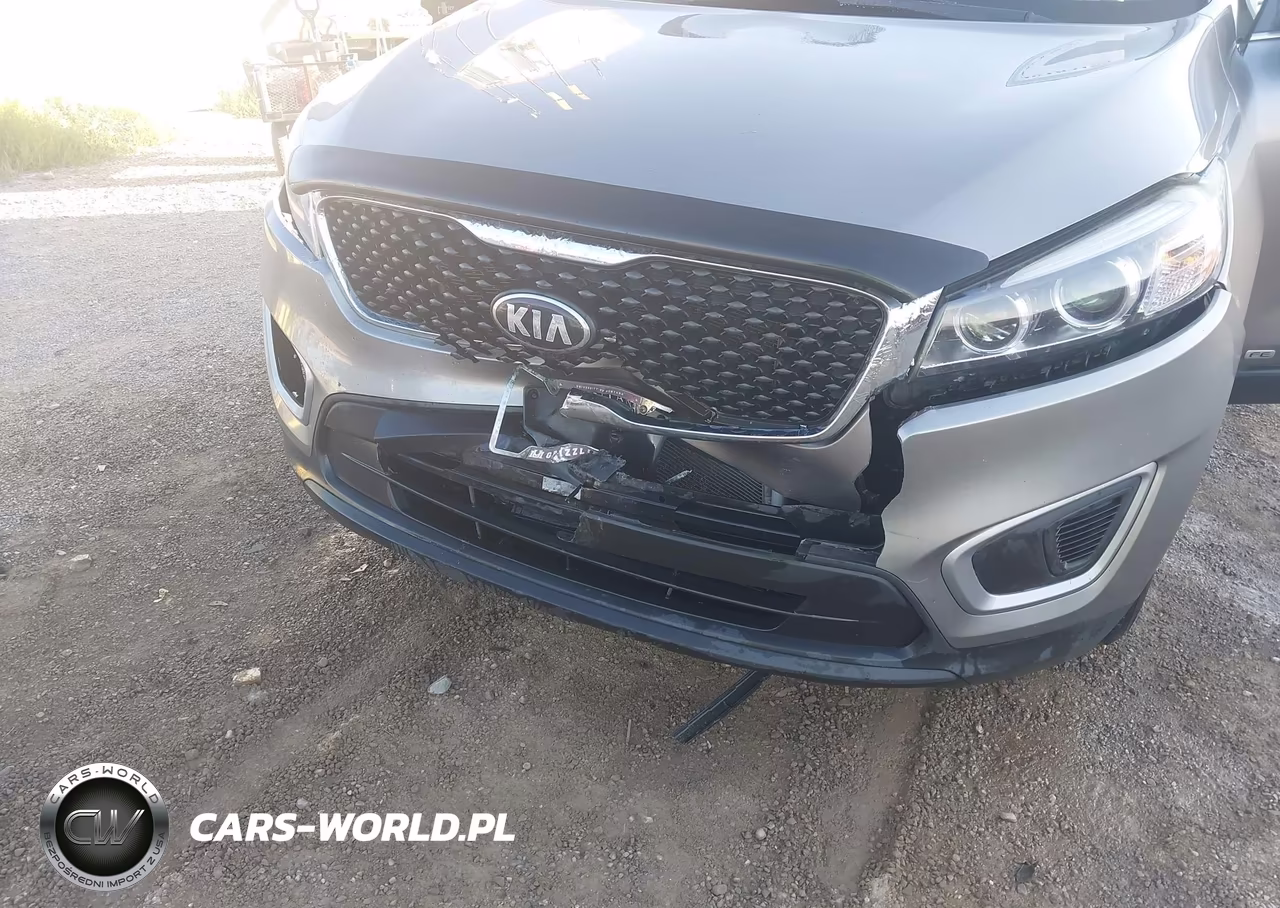 2016 Kia Sorento 3.3L Lx VIN:5XYPGDA51GG135343 - 6