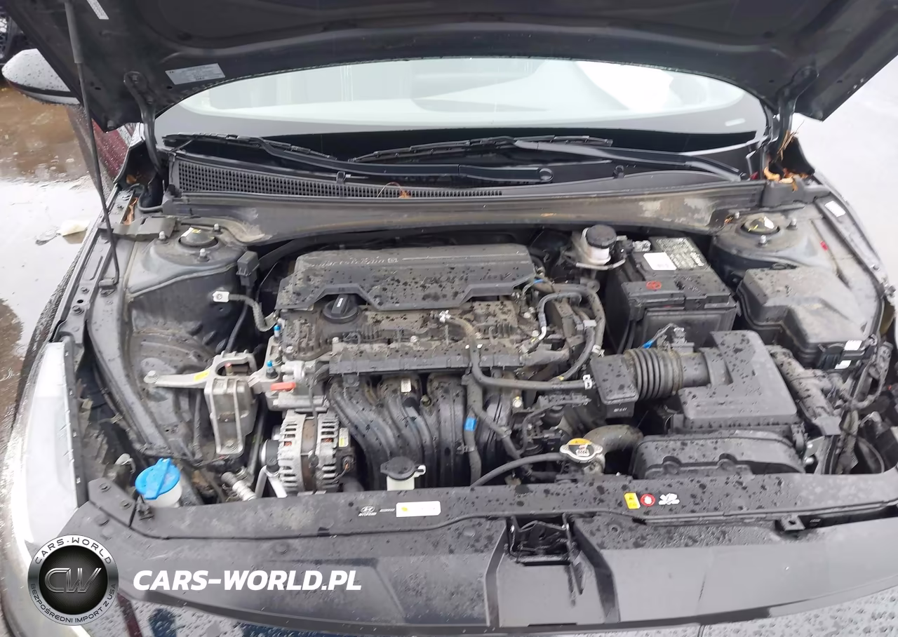 2021 Hyundai Elantra Sel VIN:KMHLS4AG8MU166366 - 10