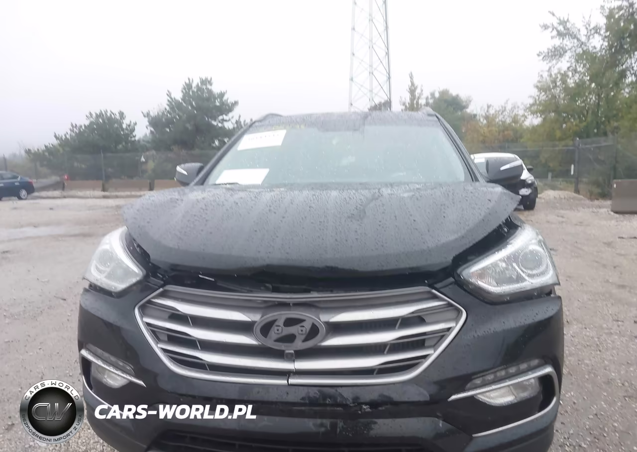 2017 Hyundai Santa Fe Sport 2.0T Ultimate VIN:5XYZWDLA9HG477629 - 6