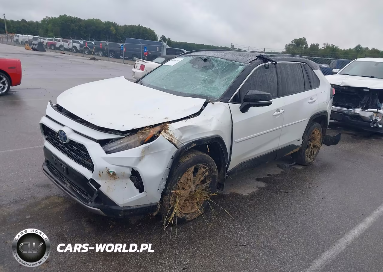 2024 Toyota Rav4 Hybrid Xse VIN:JTME6RFV6RD561014 - 2