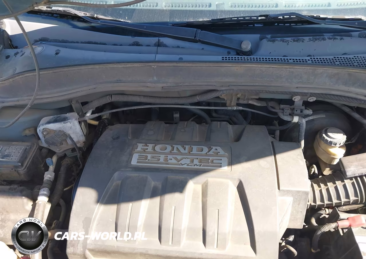 2006 Honda Pilot Ex VIN:5FNYF28456B003796 - 10