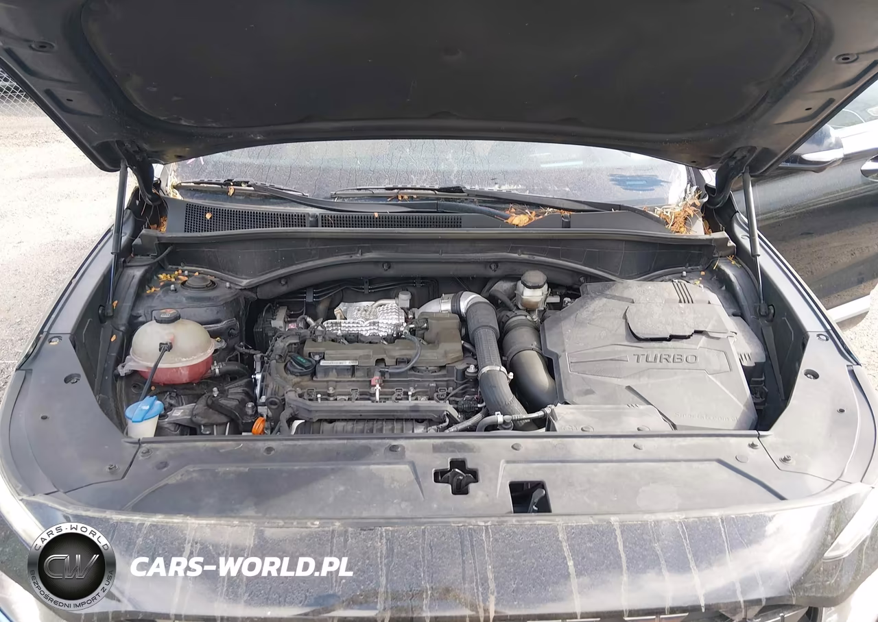 2021 Hyundai Santa Fe Calligraphy VIN:5NMS5DAL6MH329866 - 10