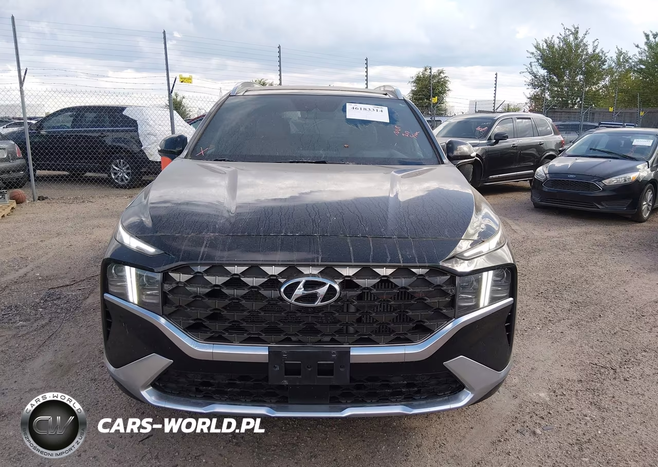 2021 Hyundai Santa Fe Calligraphy VIN:5NMS5DAL6MH329866 - 12
