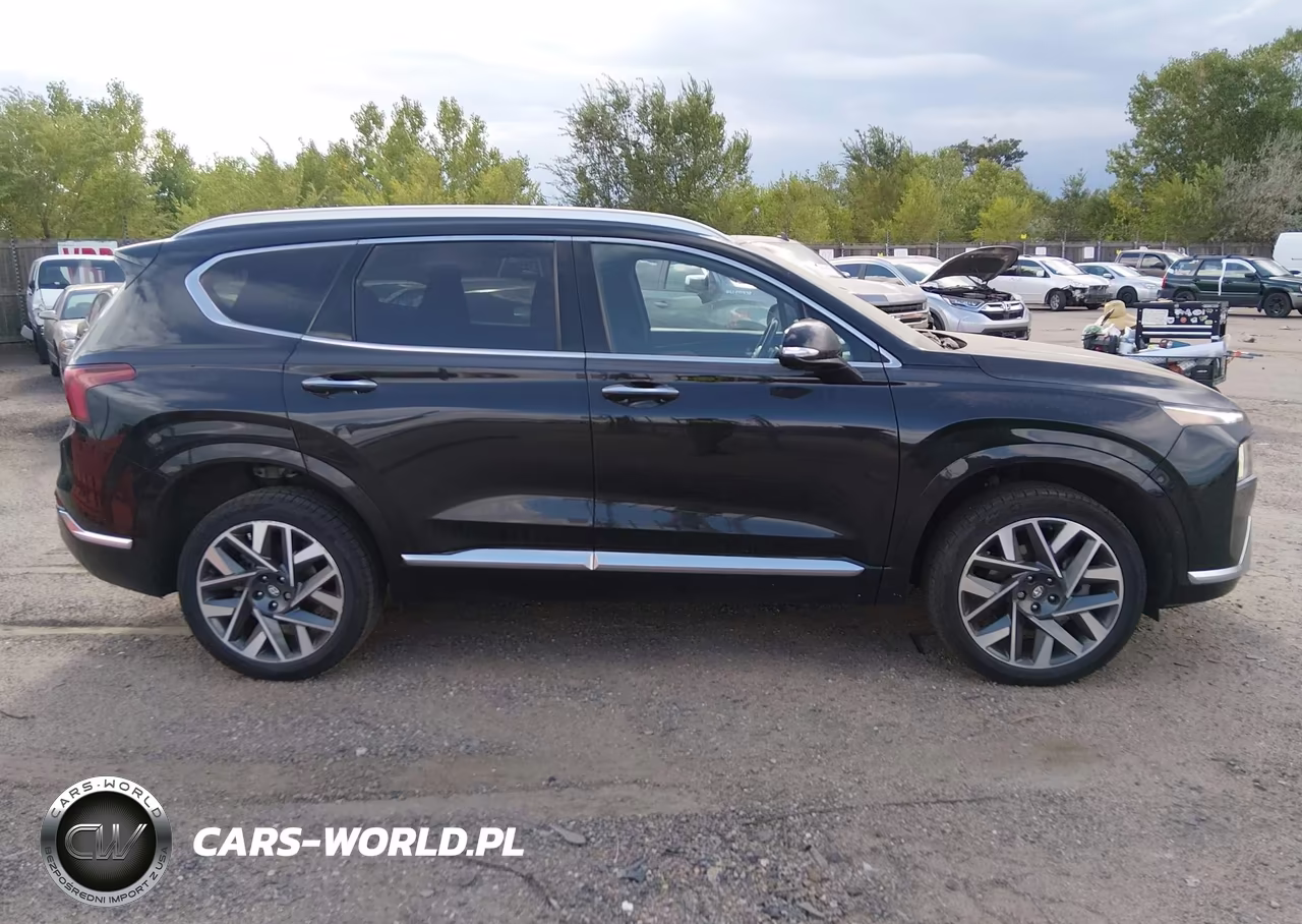 2021 Hyundai Santa Fe Calligraphy VIN:5NMS5DAL6MH329866 - 13