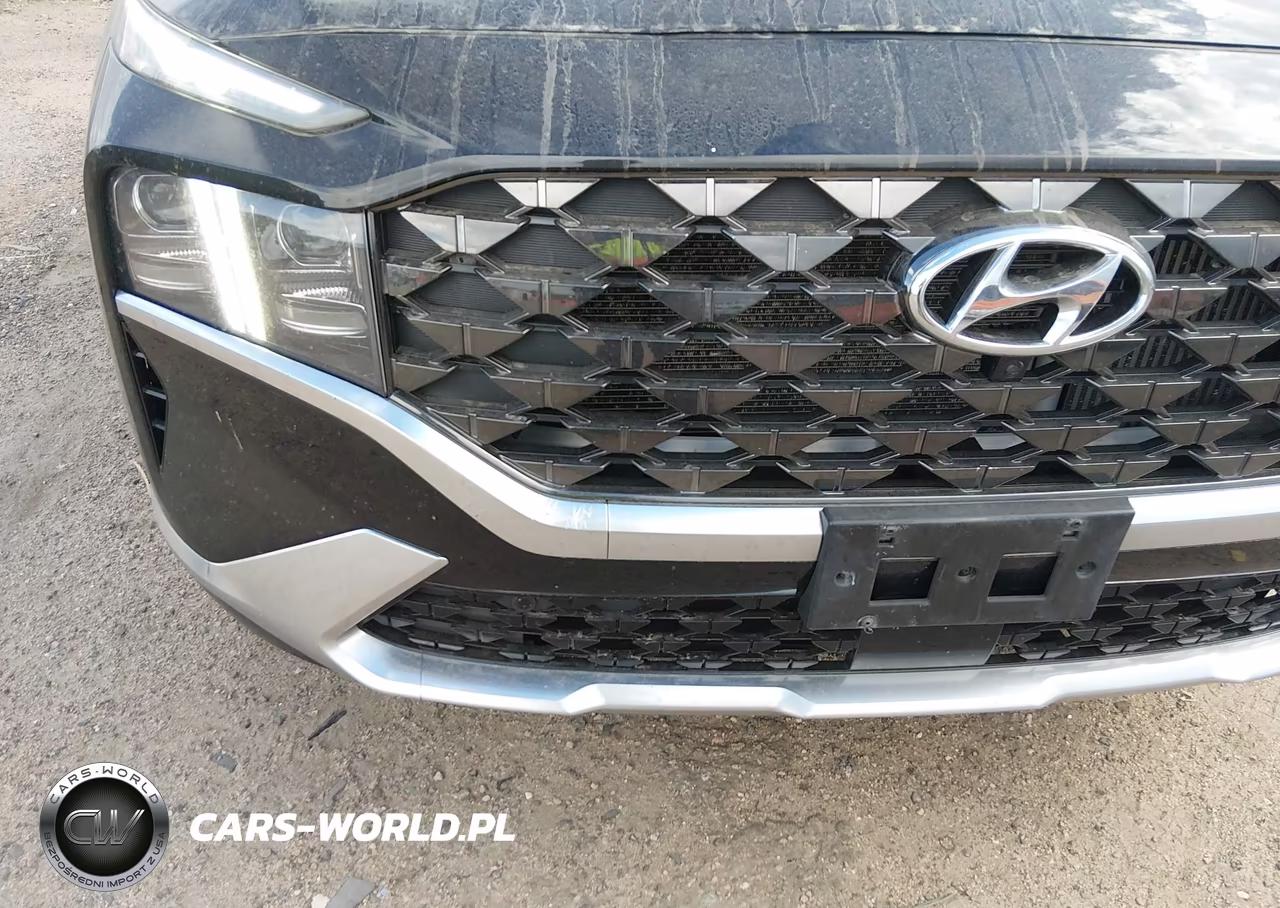 2021 Hyundai Santa Fe Calligraphy VIN:5NMS5DAL6MH329866 - 18
