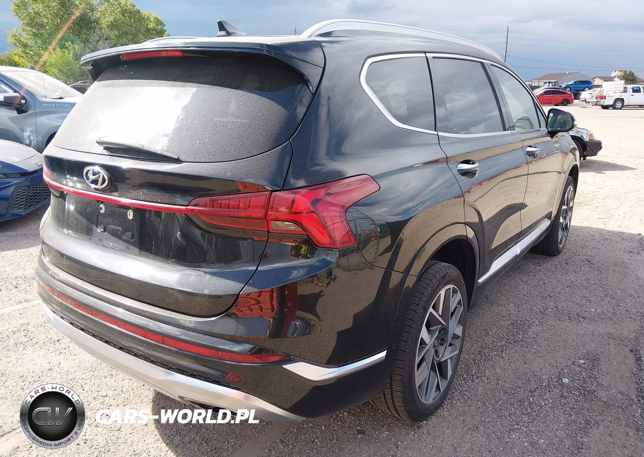 2021 Hyundai Santa Fe Calligraphy VIN:5NMS5DAL6MH329866 - 4