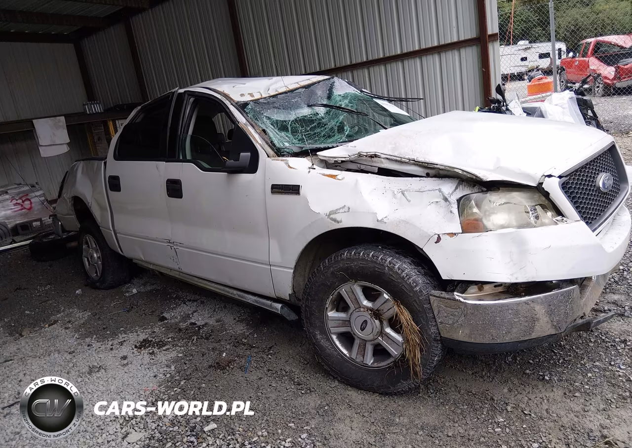2004 Ford F-150 Lariat-Xlt VIN:1FTPW12564FA19585 - 17