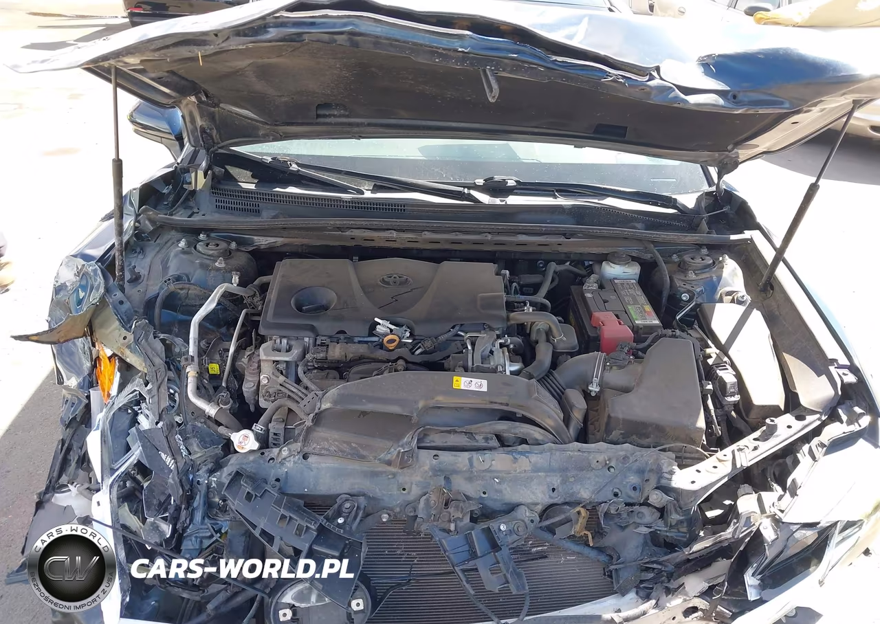 2019 Toyota Camry Se VIN:4T1B11HK7KU777316 - 10