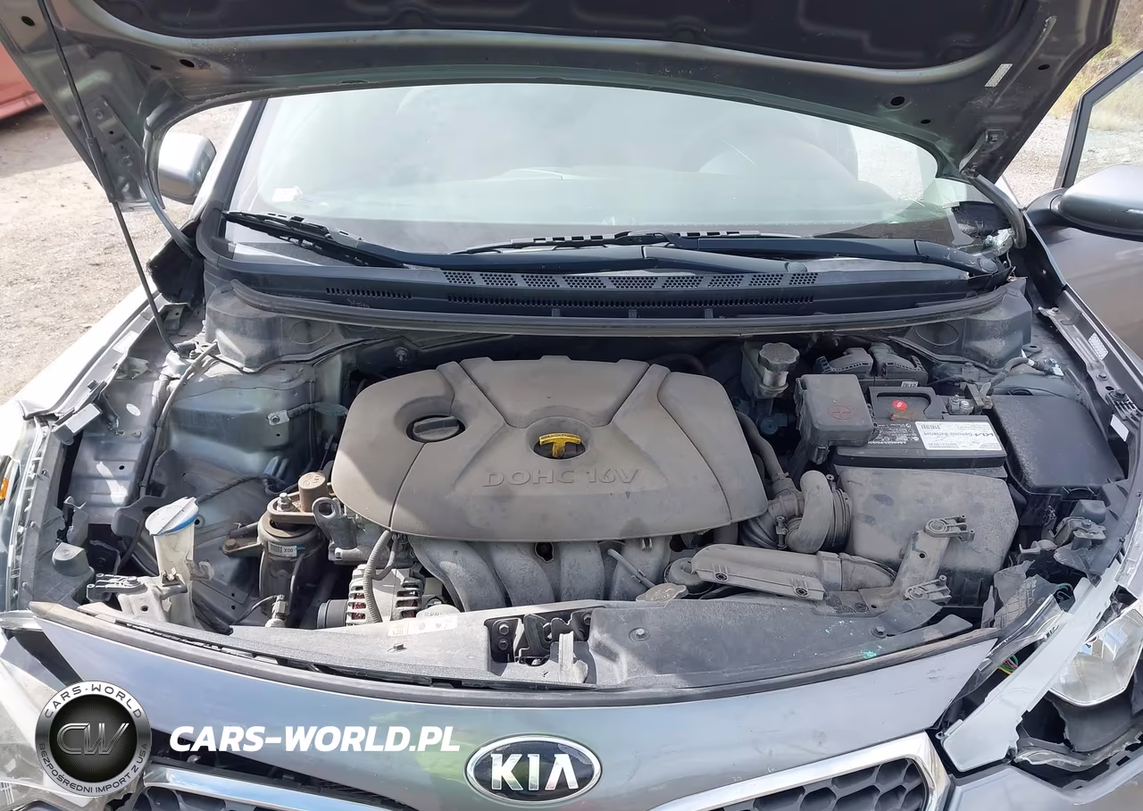 2016 Kia Forte Lx VIN:KNAFX4A6XG5454119 - 10