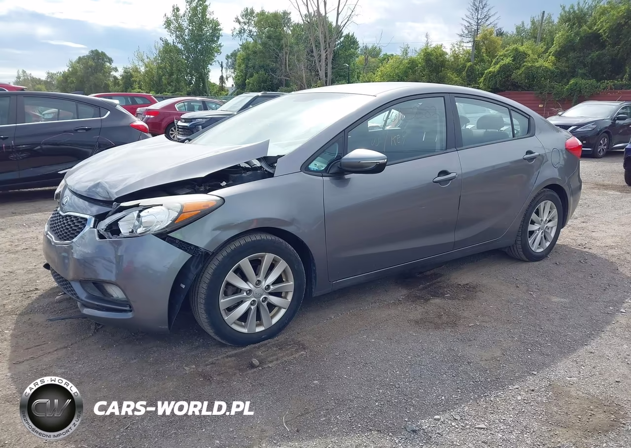 2016 Kia Forte Lx VIN:KNAFX4A6XG5454119 - 2