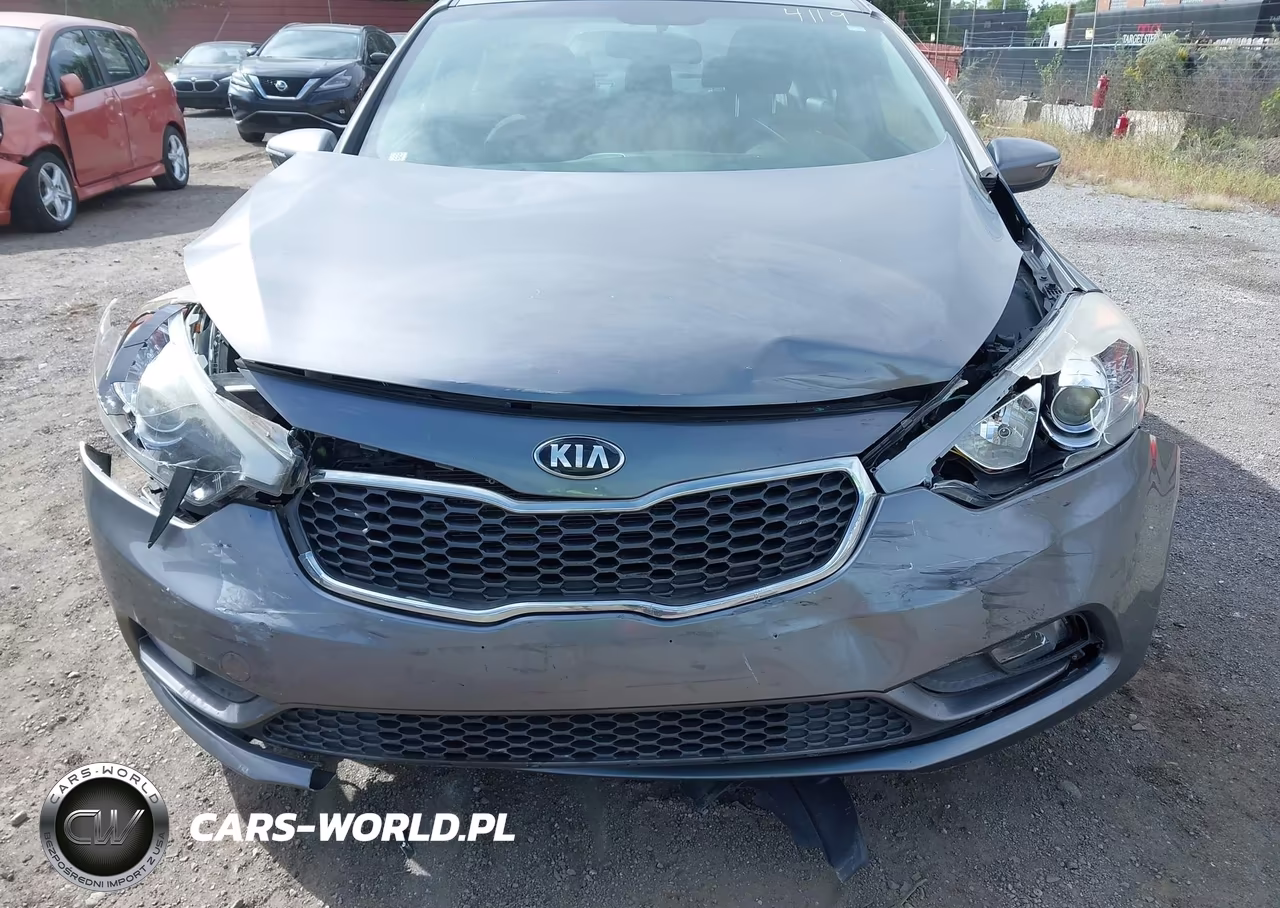 2016 Kia Forte Lx VIN:KNAFX4A6XG5454119 - 6