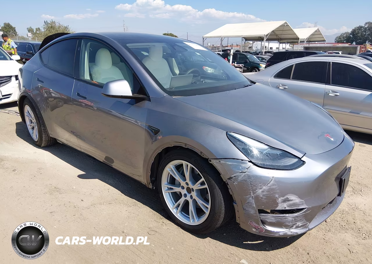 2025 Tesla Model Y