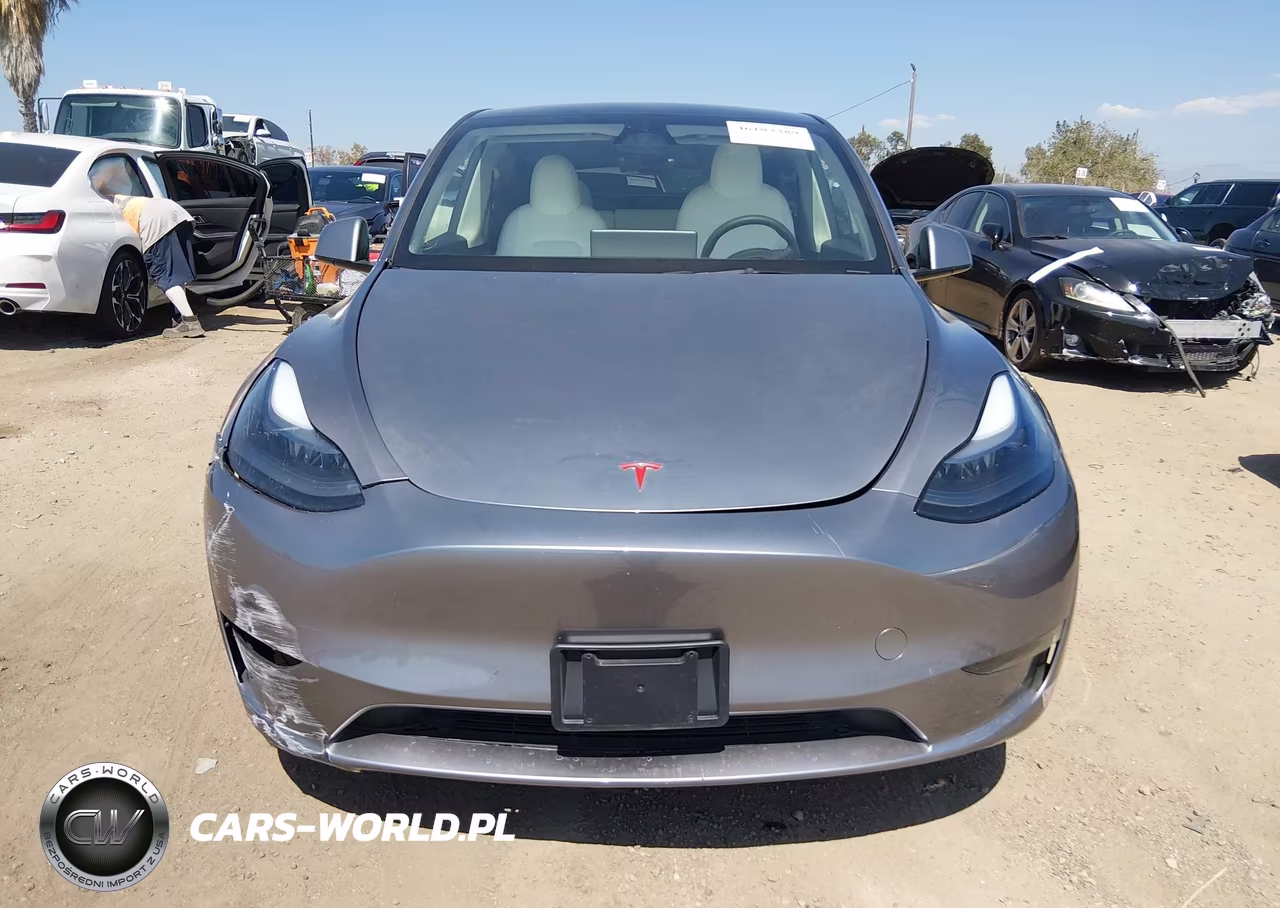 2025 Tesla Model Y VIN:7SAYGDED3SF235937 - 12