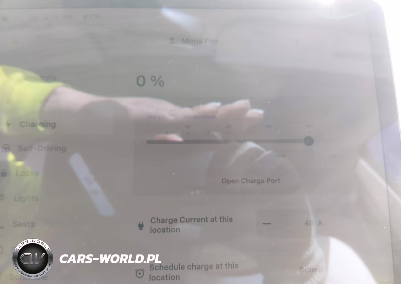 2025 Tesla Model Y VIN:7SAYGDED3SF235937 - 17
