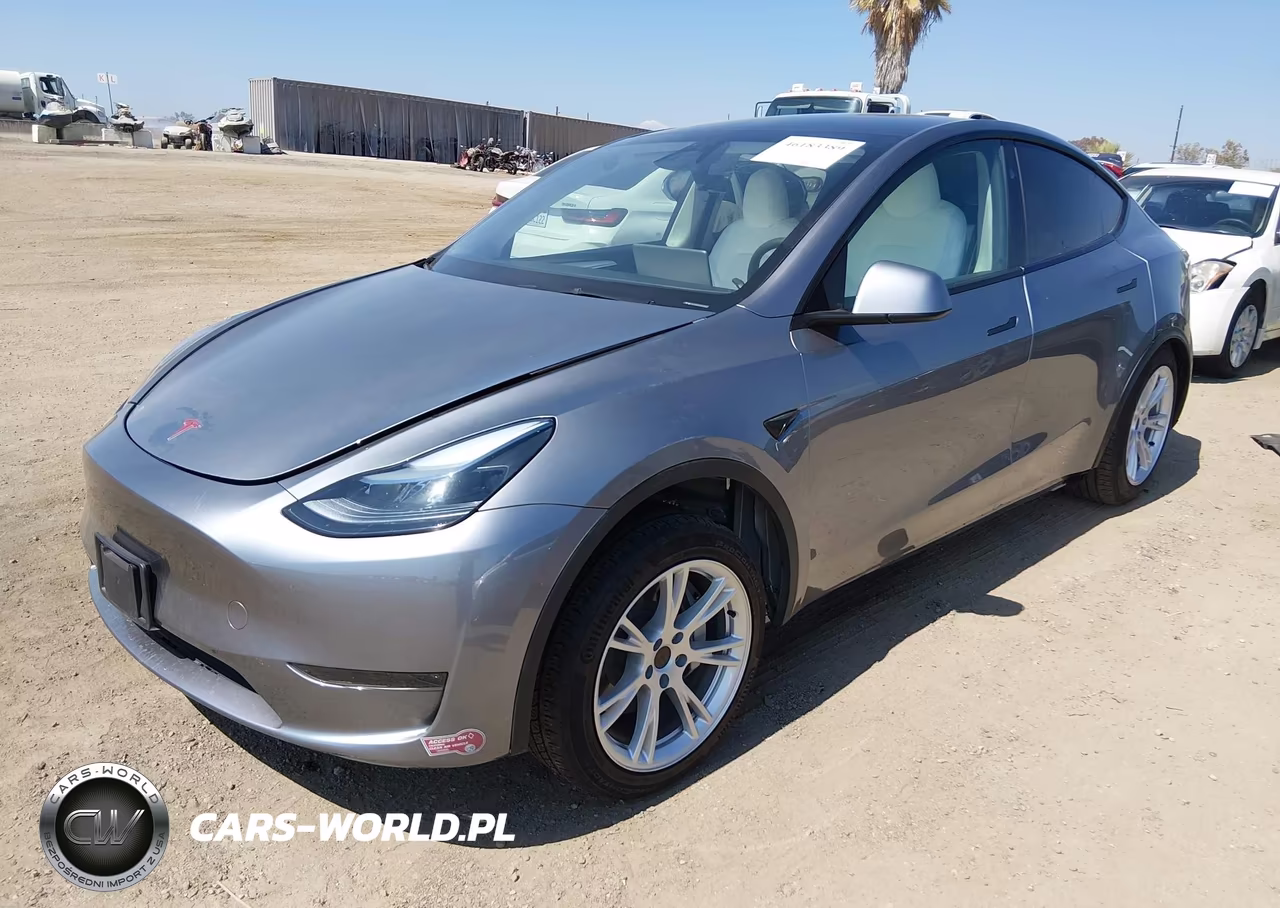 2025 Tesla Model Y VIN:7SAYGDED3SF235937 - 2