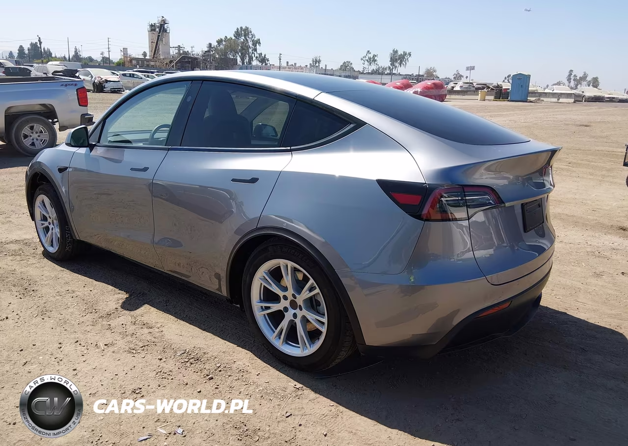 2025 Tesla Model Y VIN:7SAYGDED3SF235937 - 3