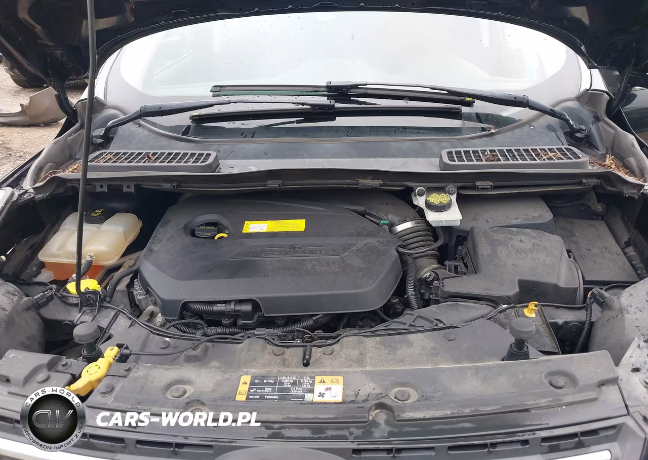 2016 Ford Escape Se VIN:1FMCU0GX8GUC20506 - 10